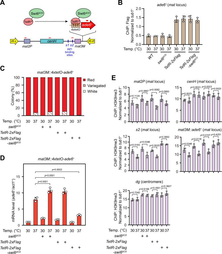 https://cdn.ncbi.nlm.nih.gov/pmc/blobs/9628/10863984/c5adf1397616/elife-90525-fig7.jpg