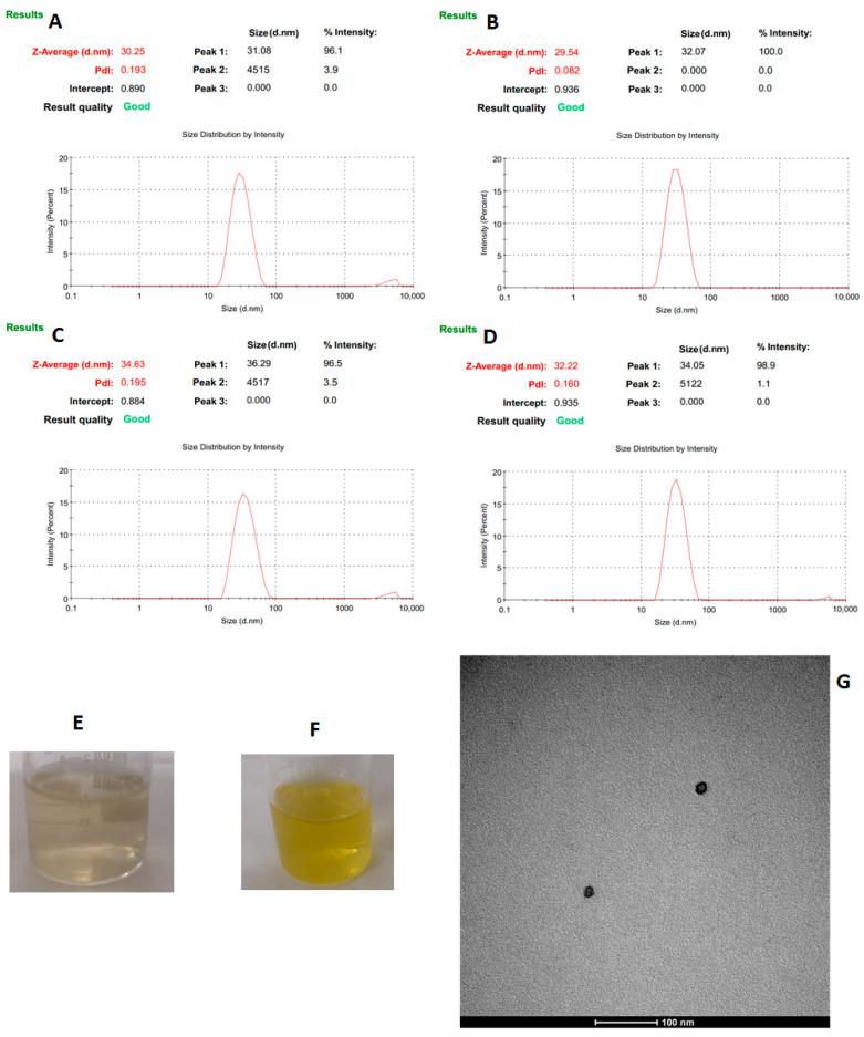 https://cdn.ncbi.nlm.nih.gov/pmc/blobs/9628/12300589/0e17384e3a0b/pharmaceutics-17-00925-g006.jpg