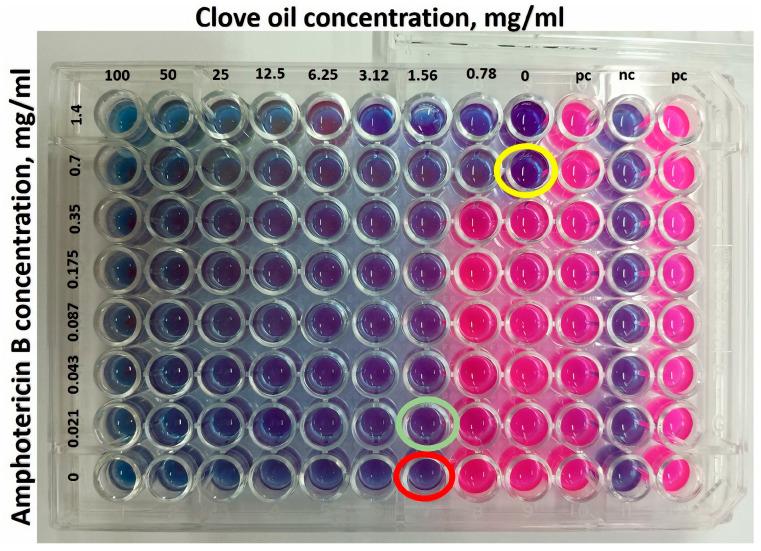 https://cdn.ncbi.nlm.nih.gov/pmc/blobs/9628/12300589/5d143f7dcf35/pharmaceutics-17-00925-g010.jpg