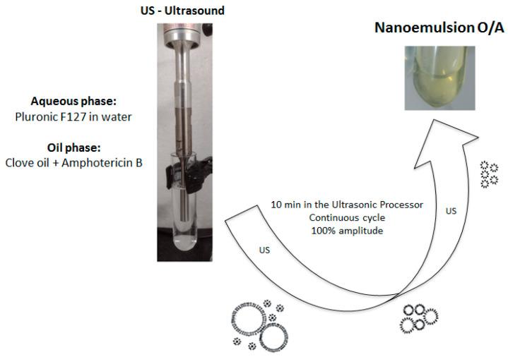 https://cdn.ncbi.nlm.nih.gov/pmc/blobs/9628/12300589/834794f44fcd/pharmaceutics-17-00925-g001.jpg