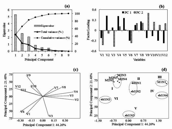 https://cdn.ncbi.nlm.nih.gov/pmc/blobs/9629/11686162/5f0adc161fe1/41598_2024_83824_Fig1_HTML.jpg