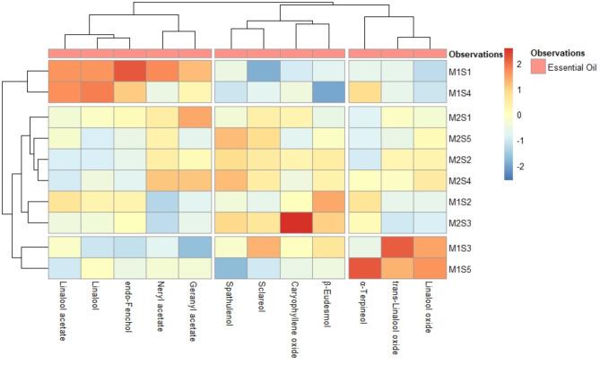 https://cdn.ncbi.nlm.nih.gov/pmc/blobs/9629/11686162/7fbe2de6921b/41598_2024_83824_Fig3_HTML.jpg
