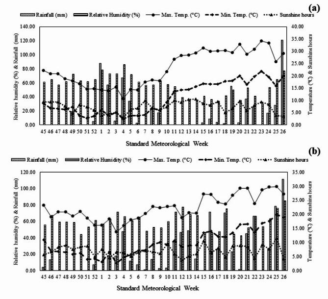 https://cdn.ncbi.nlm.nih.gov/pmc/blobs/9629/11686162/cd13134bbb30/41598_2024_83824_Fig4_HTML.jpg