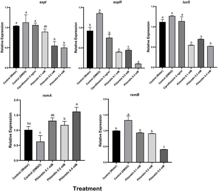 https://cdn.ncbi.nlm.nih.gov/pmc/blobs/962a/8270676/45abaf02f3c1/fpls-12-671807-g006.jpg