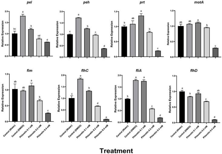 https://cdn.ncbi.nlm.nih.gov/pmc/blobs/962a/8270676/53b2f3801e86/fpls-12-671807-g007.jpg