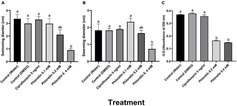 https://cdn.ncbi.nlm.nih.gov/pmc/blobs/962a/8270676/be09afab052a/fpls-12-671807-g001.jpg