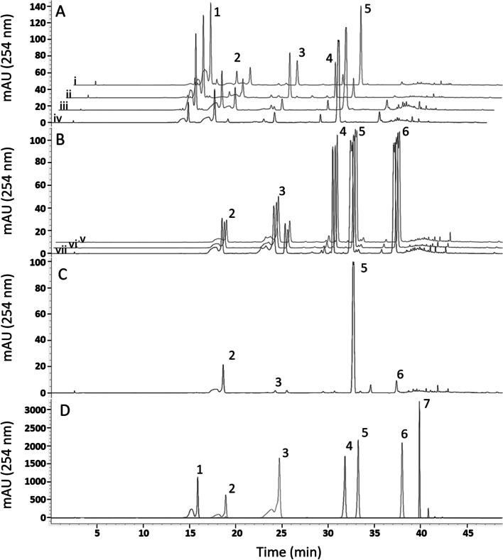 https://cdn.ncbi.nlm.nih.gov/pmc/blobs/962a/8722073/9d5a7f20e535/12870_2021_3383_Fig3_HTML.jpg