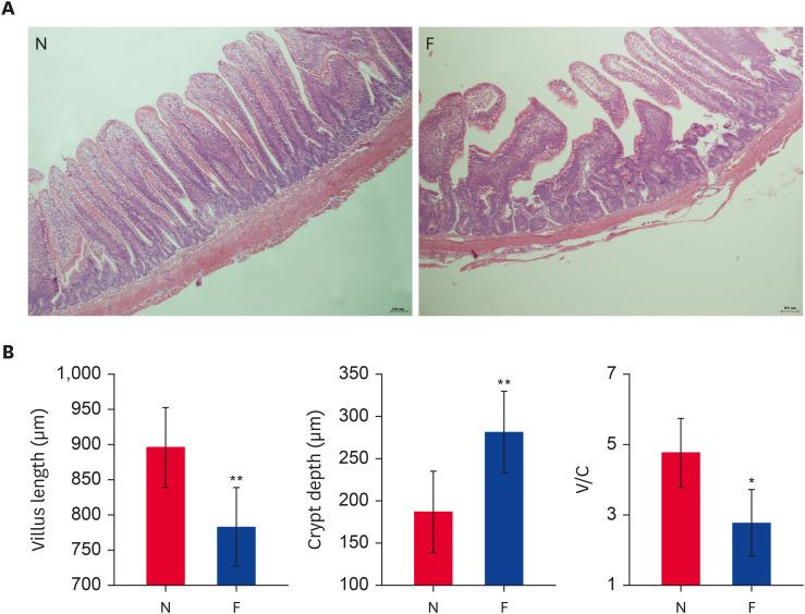 https://cdn.ncbi.nlm.nih.gov/pmc/blobs/962b/11972935/30b95c0530e9/jvs-26-e25-g002.jpg