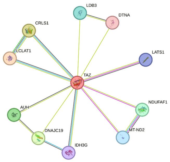 https://cdn.ncbi.nlm.nih.gov/pmc/blobs/962b/12027479/7c59e2979b67/genes-16-00465-g004.jpg