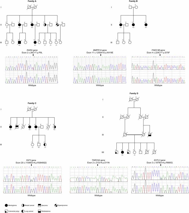 https://cdn.ncbi.nlm.nih.gov/pmc/blobs/962b/12081709/c0d005db4a5a/41525_2025_494_Fig1_HTML.jpg
