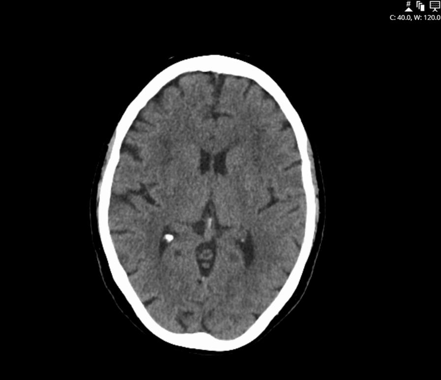 https://cdn.ncbi.nlm.nih.gov/pmc/blobs/962e/11223319/37825b05b466/13256_2024_4617_Fig1_HTML.jpg