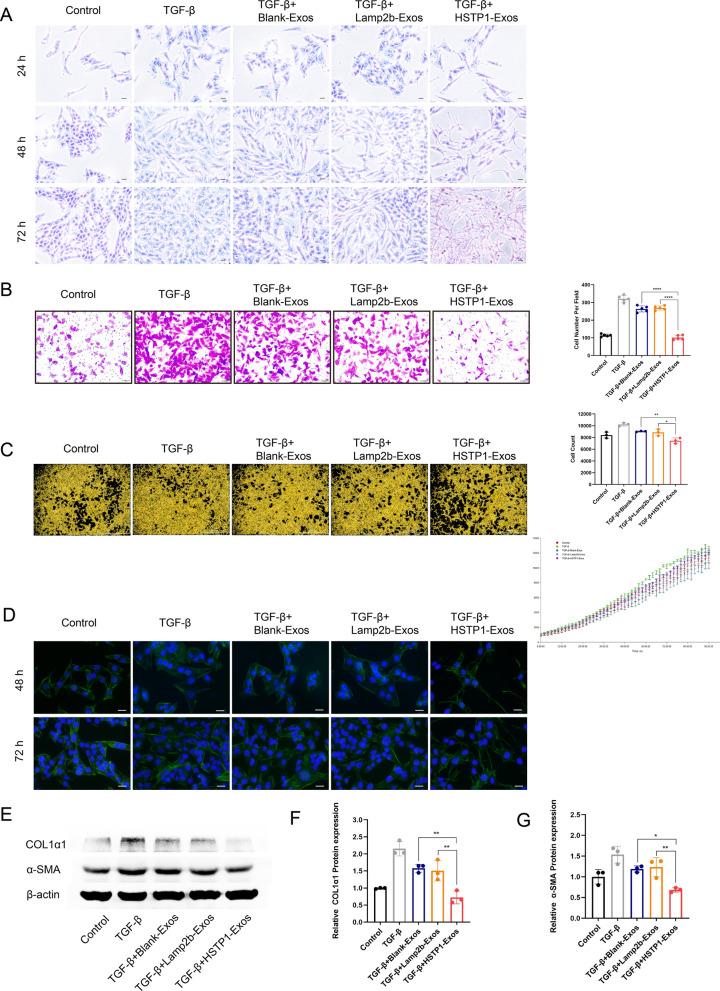 https://cdn.ncbi.nlm.nih.gov/pmc/blobs/962e/9526331/68826b491c37/12951_2022_1636_Fig7_HTML.jpg