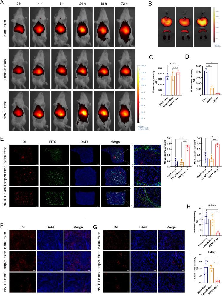 https://cdn.ncbi.nlm.nih.gov/pmc/blobs/962e/9526331/71ca701e82fb/12951_2022_1636_Fig8_HTML.jpg