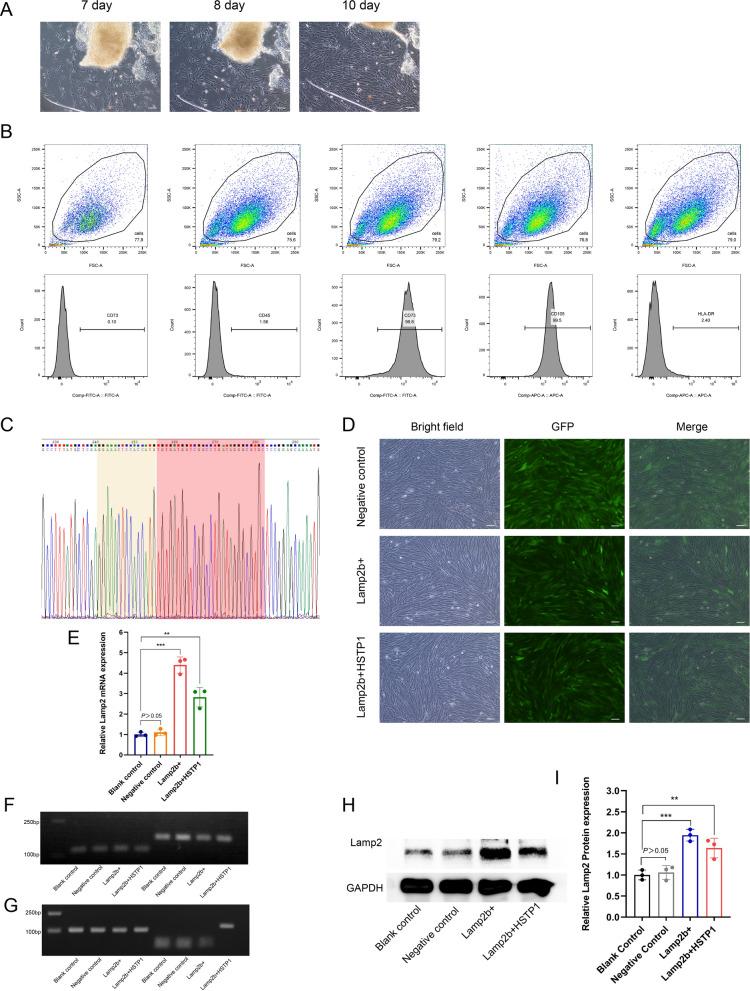 https://cdn.ncbi.nlm.nih.gov/pmc/blobs/962e/9526331/78081248336a/12951_2022_1636_Fig4_HTML.jpg