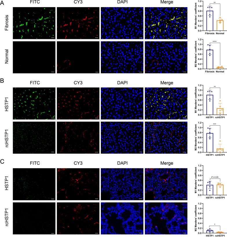 https://cdn.ncbi.nlm.nih.gov/pmc/blobs/962e/9526331/fe85defb3dcc/12951_2022_1636_Fig3_HTML.jpg