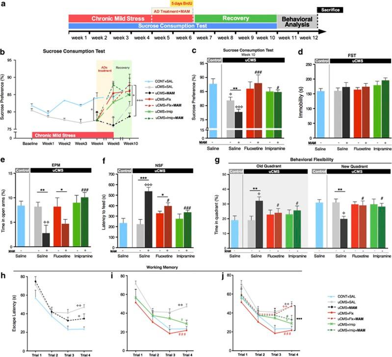 https://cdn.ncbi.nlm.nih.gov/pmc/blobs/9630/3566721/c5a6af62bd58/tp2012141f2.jpg