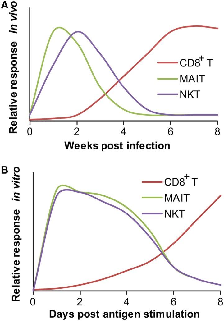 https://cdn.ncbi.nlm.nih.gov/pmc/blobs/9630/5175204/3356e8fbd947/fimmu-07-00594-g001.jpg