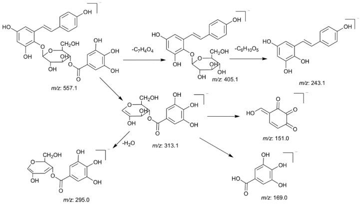 https://cdn.ncbi.nlm.nih.gov/pmc/blobs/9630/6272829/71a9599a883d/molecules-21-00040-g004.jpg