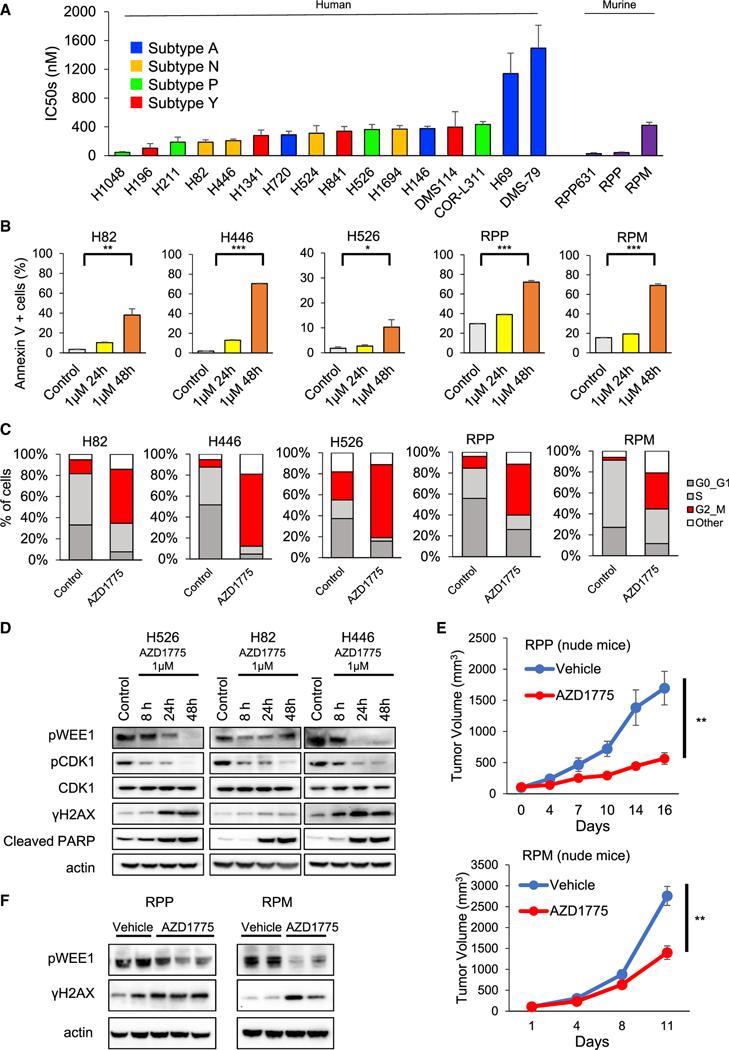 https://cdn.ncbi.nlm.nih.gov/pmc/blobs/9631/9449677/27863034fd8d/nihms-1808947-f0001.jpg