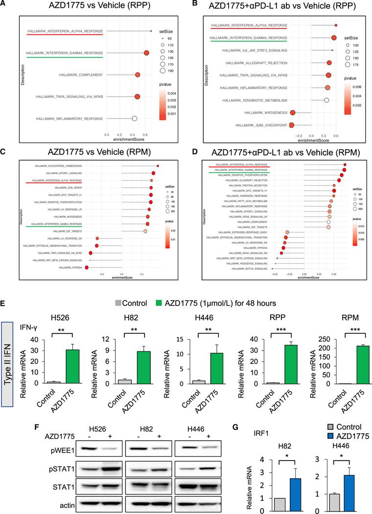 https://cdn.ncbi.nlm.nih.gov/pmc/blobs/9631/9449677/81ba0191d66b/nihms-1808947-f0005.jpg