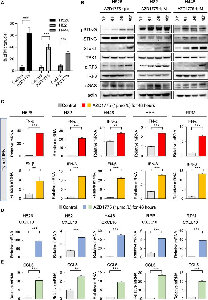 https://cdn.ncbi.nlm.nih.gov/pmc/blobs/9631/9449677/ca6c68070749/nihms-1808947-f0002.jpg