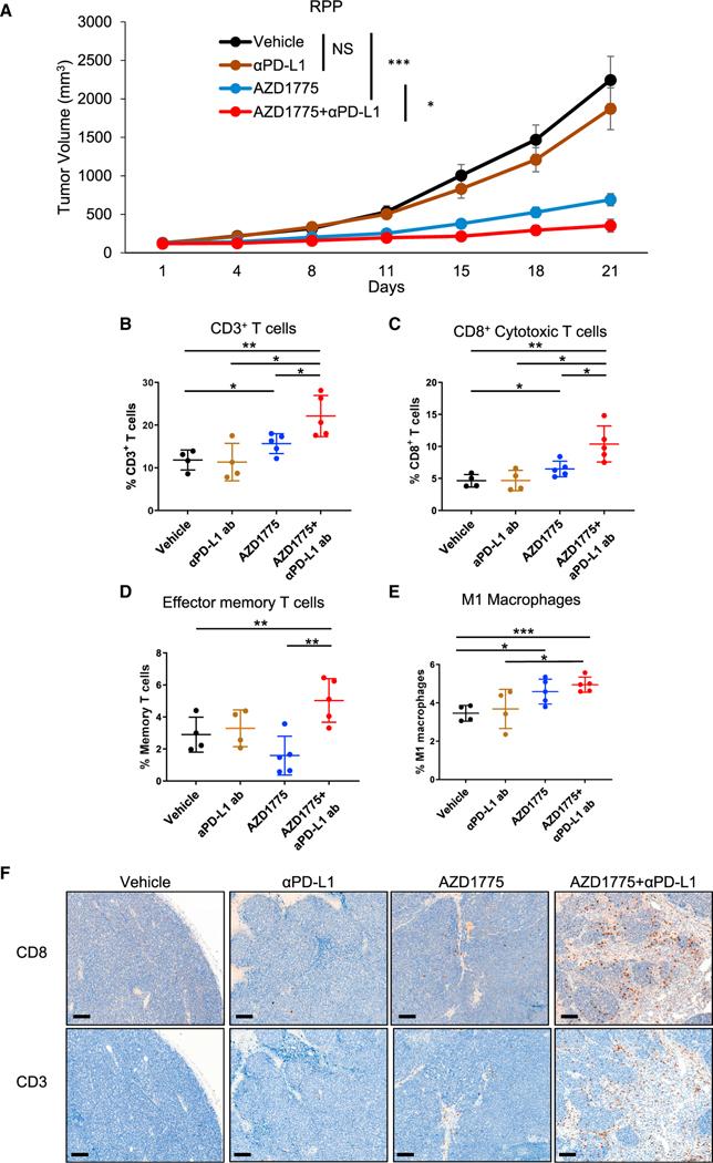 https://cdn.ncbi.nlm.nih.gov/pmc/blobs/9631/9449677/e4458d8febeb/nihms-1808947-f0003.jpg