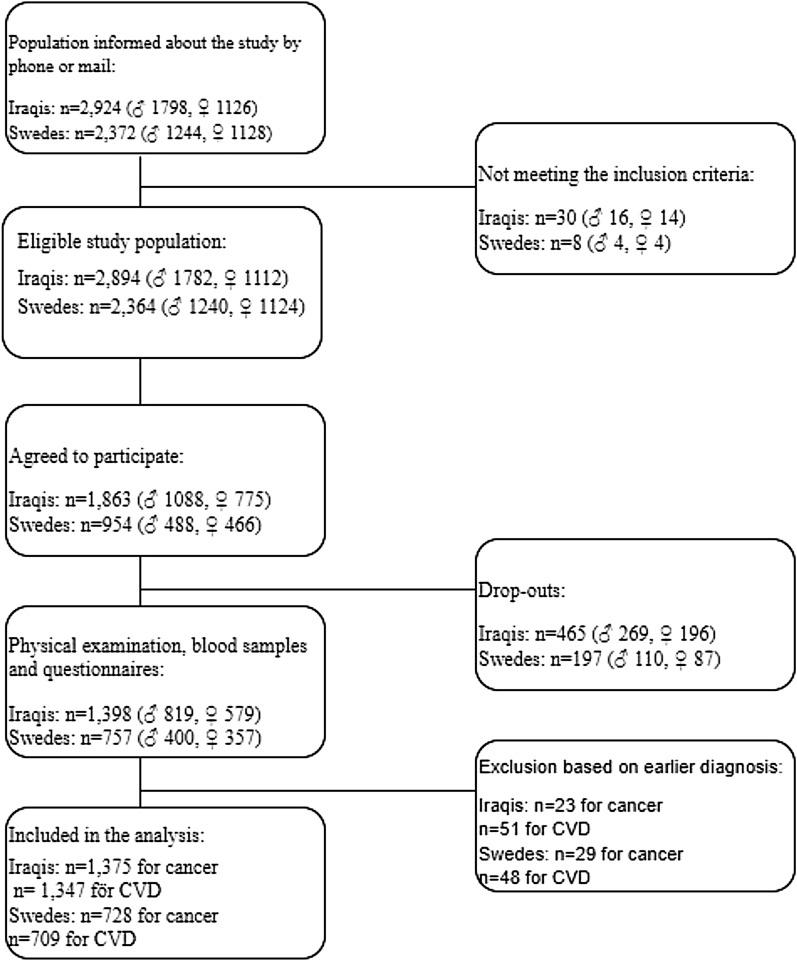 https://cdn.ncbi.nlm.nih.gov/pmc/blobs/9632/10105731/68212e15c749/41598_2023_33379_Fig1_HTML.jpg
