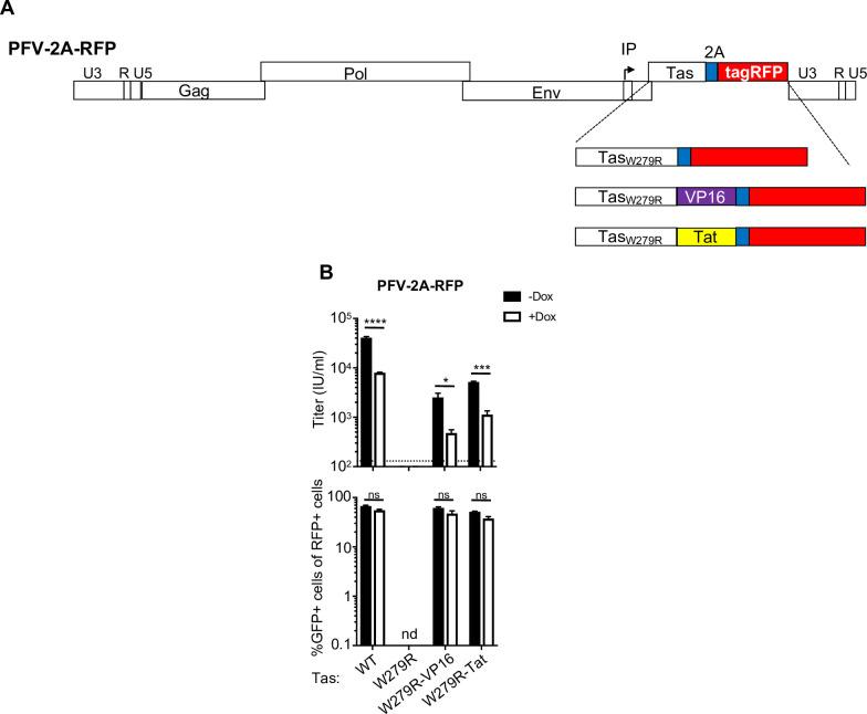 https://cdn.ncbi.nlm.nih.gov/pmc/blobs/9632/7390438/58ea033f9307/ppat.1008644.g006.jpg