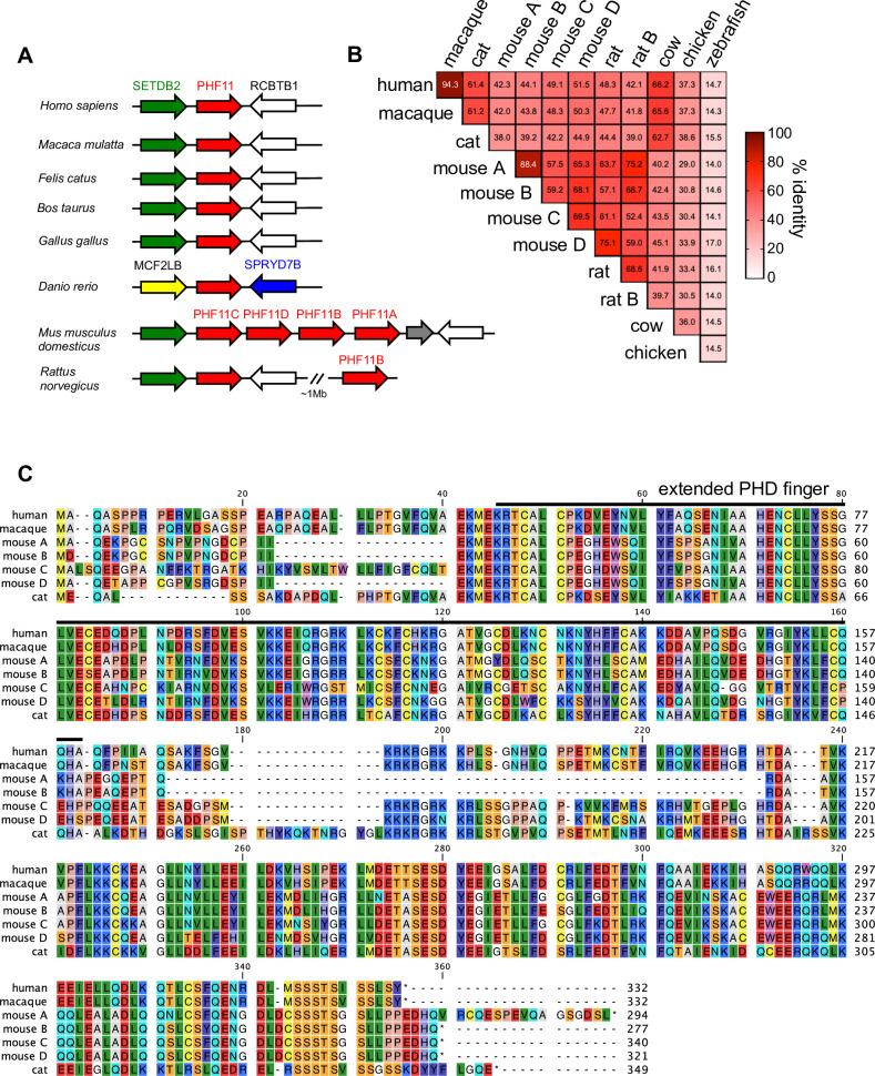 https://cdn.ncbi.nlm.nih.gov/pmc/blobs/9632/7390438/6b208db7bcb5/ppat.1008644.g002.jpg