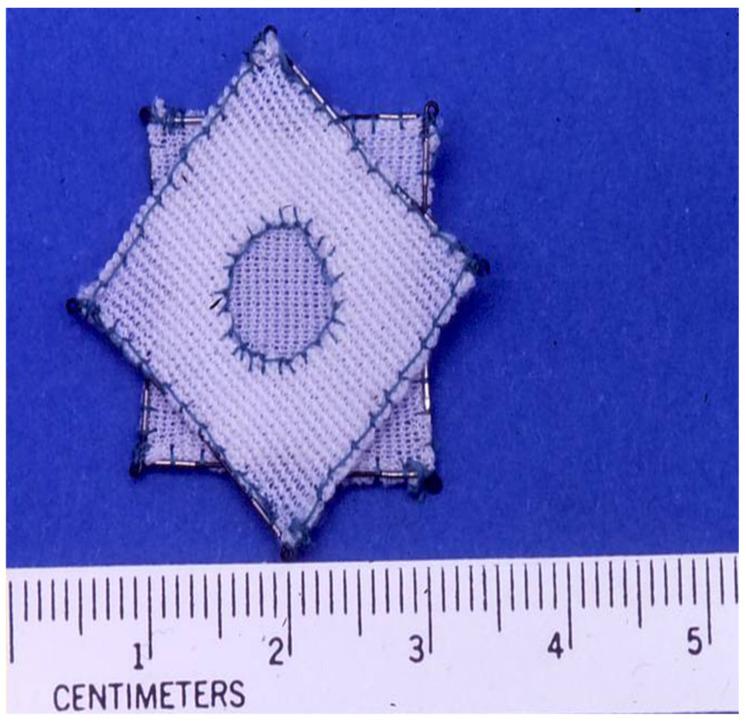 https://cdn.ncbi.nlm.nih.gov/pmc/blobs/9632/7552712/a726297e8e38/children-07-00111-g010.jpg