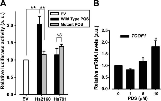 https://cdn.ncbi.nlm.nih.gov/pmc/blobs/9634/10980799/783a99c2946d/41598_2024_58255_Fig3_HTML.jpg