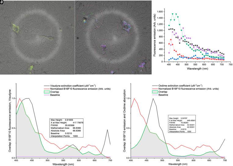 https://cdn.ncbi.nlm.nih.gov/pmc/blobs/9634/10998568/a9f0df0e44e0/pnas.2316303121fig02.jpg