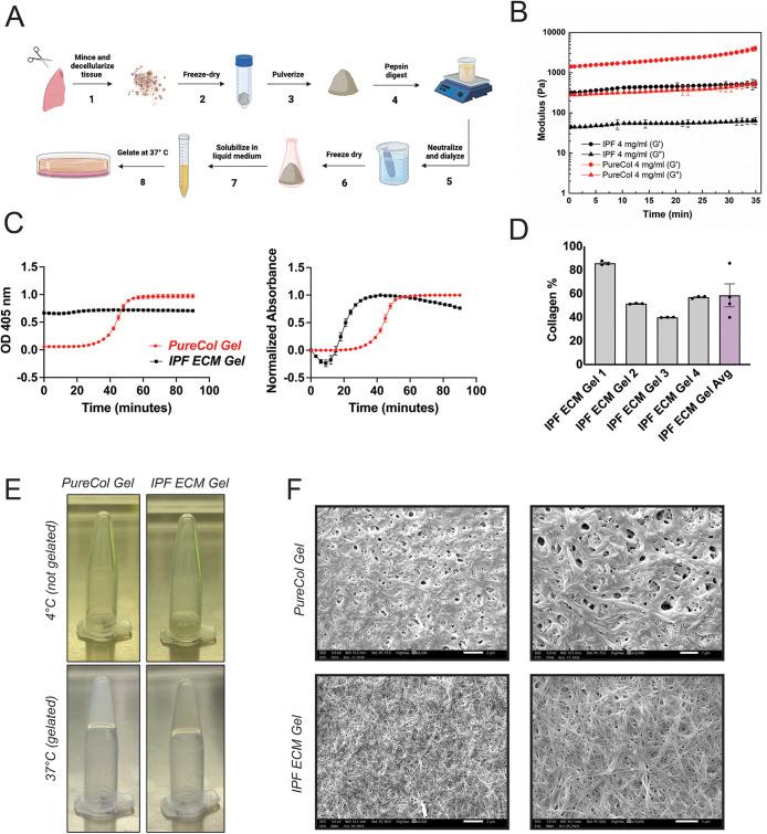 https://cdn.ncbi.nlm.nih.gov/pmc/blobs/9635/11321034/f26d32d2b5b7/mbc-35-ar114-g001.jpg