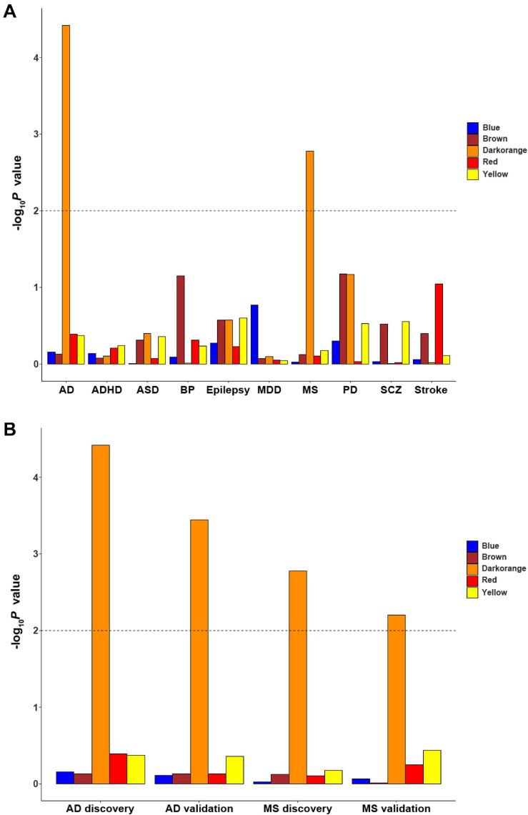 https://cdn.ncbi.nlm.nih.gov/pmc/blobs/9636/8093778/166fa7534e39/fnins-15-639527-g006.jpg