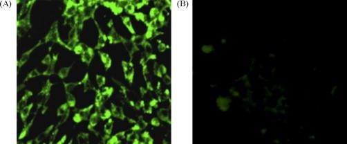 https://cdn.ncbi.nlm.nih.gov/pmc/blobs/9637/7126841/540ba5a3367a/gr2.jpg