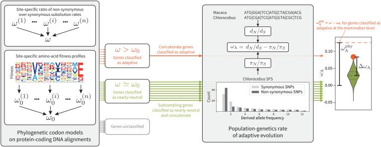 https://cdn.ncbi.nlm.nih.gov/pmc/blobs/963b/10089192/4b331db9de9f/pnas.2214977120fig02.jpg