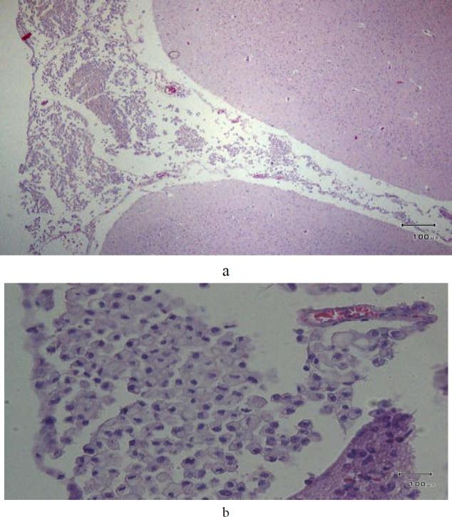https://cdn.ncbi.nlm.nih.gov/pmc/blobs/963b/8245838/c34421501a29/GHFBB-14-276-g003.jpg