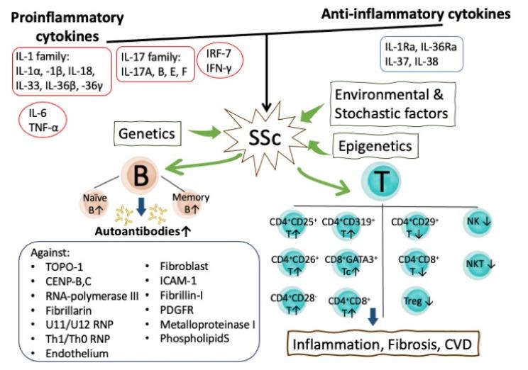 https://cdn.ncbi.nlm.nih.gov/pmc/blobs/963c/8699891/1b2bab0b7811/cells-10-03402-g006.jpg