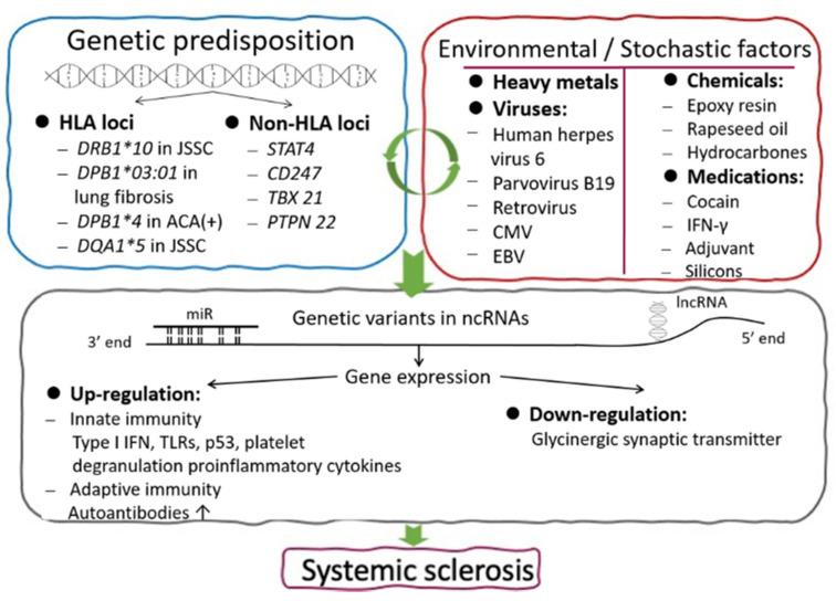 https://cdn.ncbi.nlm.nih.gov/pmc/blobs/963c/8699891/6bc3373acbe3/cells-10-03402-g001.jpg