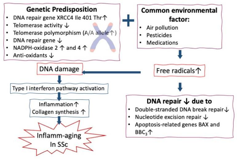https://cdn.ncbi.nlm.nih.gov/pmc/blobs/963c/8699891/6ef88c7e17d6/cells-10-03402-g005.jpg