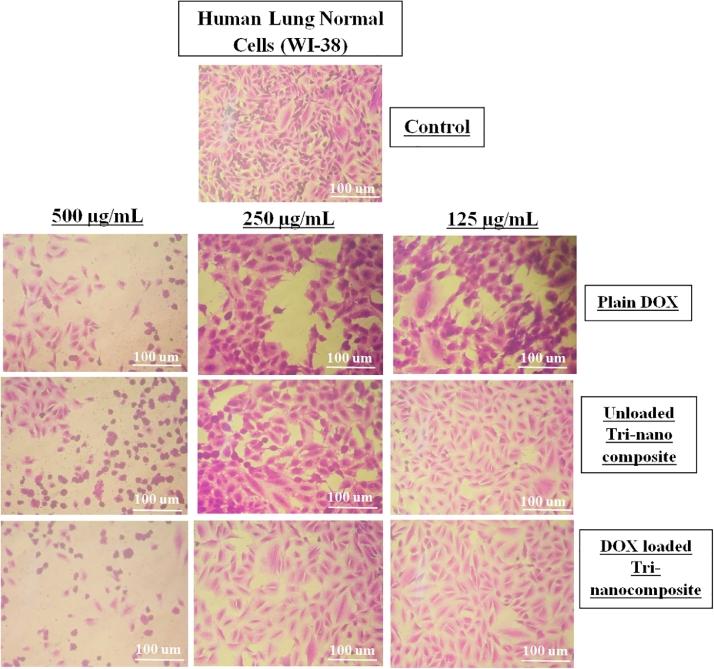 https://cdn.ncbi.nlm.nih.gov/pmc/blobs/963d/9171453/191cea44a72b/gr8.jpg