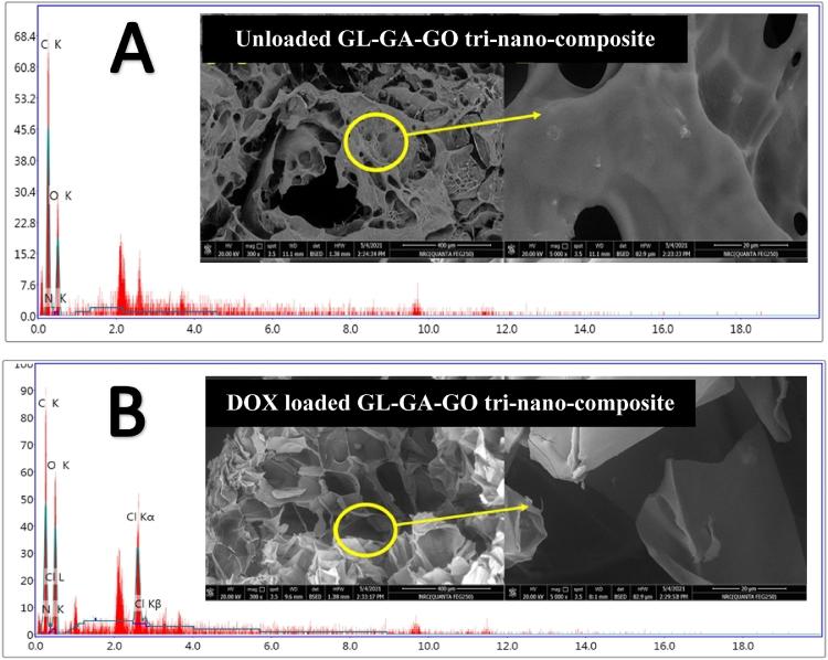https://cdn.ncbi.nlm.nih.gov/pmc/blobs/963d/9171453/2cea6bf510f6/gr1.jpg