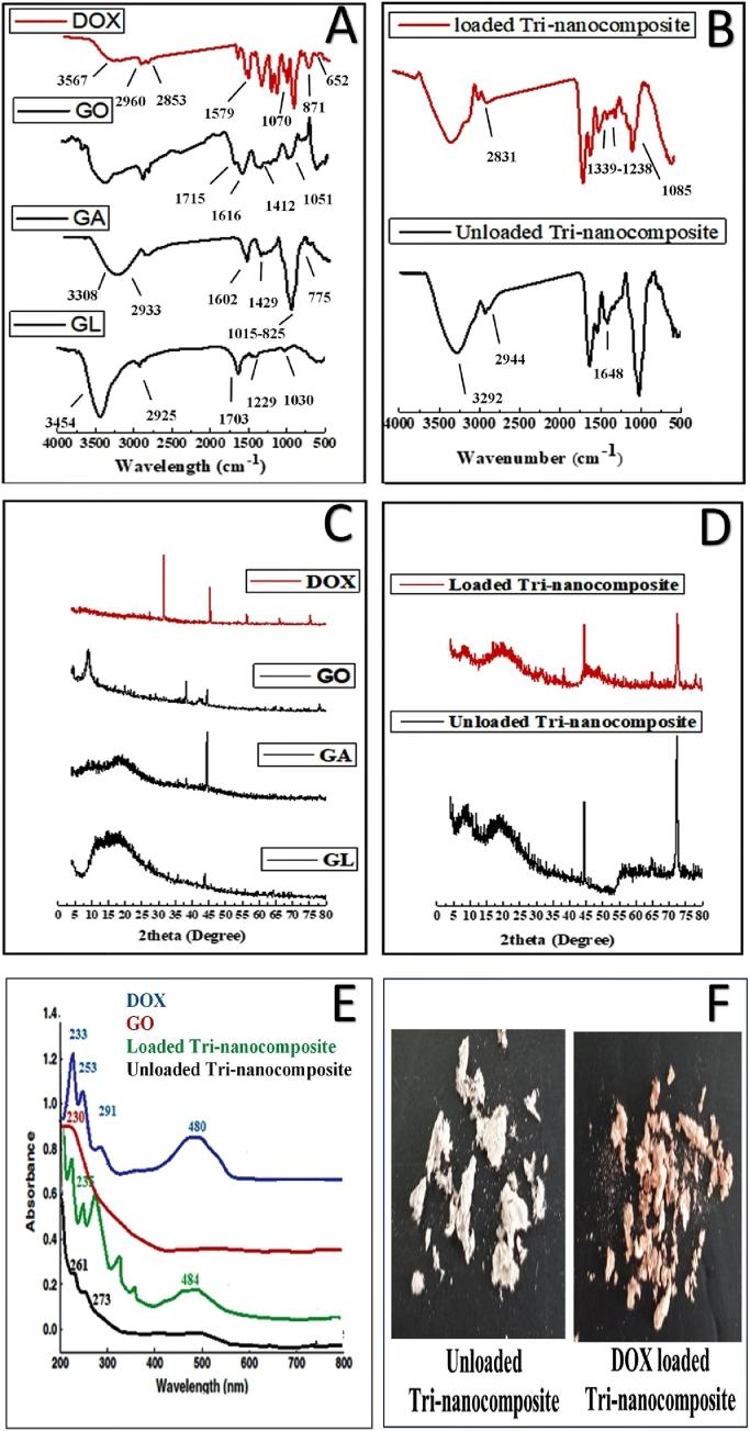 https://cdn.ncbi.nlm.nih.gov/pmc/blobs/963d/9171453/4ecdf31016d7/gr3.jpg