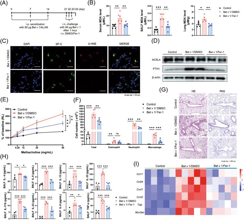 https://cdn.ncbi.nlm.nih.gov/pmc/blobs/963f/10891108/8b488e01ee0d/41420_2024_1861_Fig5_HTML.jpg