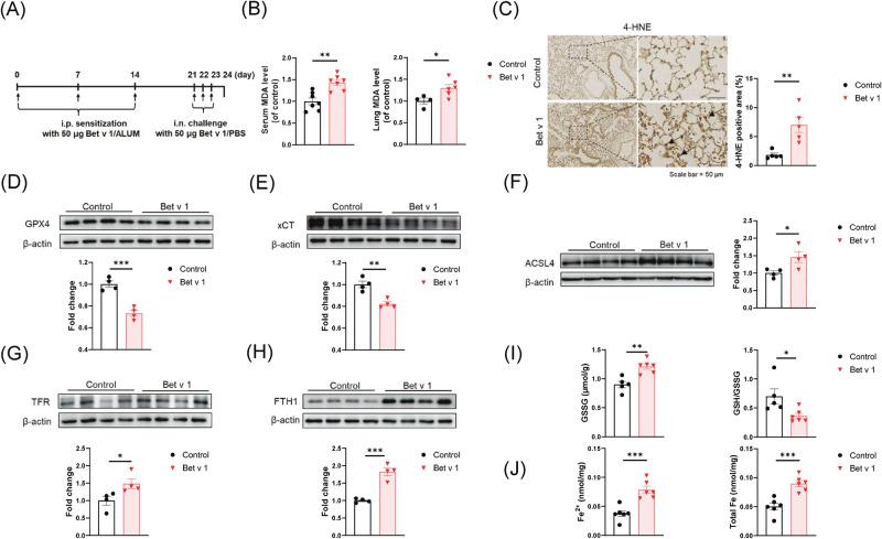 https://cdn.ncbi.nlm.nih.gov/pmc/blobs/963f/10891108/bad9d47030bc/41420_2024_1861_Fig2_HTML.jpg