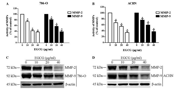 https://cdn.ncbi.nlm.nih.gov/pmc/blobs/9640/4812156/da41e8a44a24/etm-11-04-1243-g02.jpg