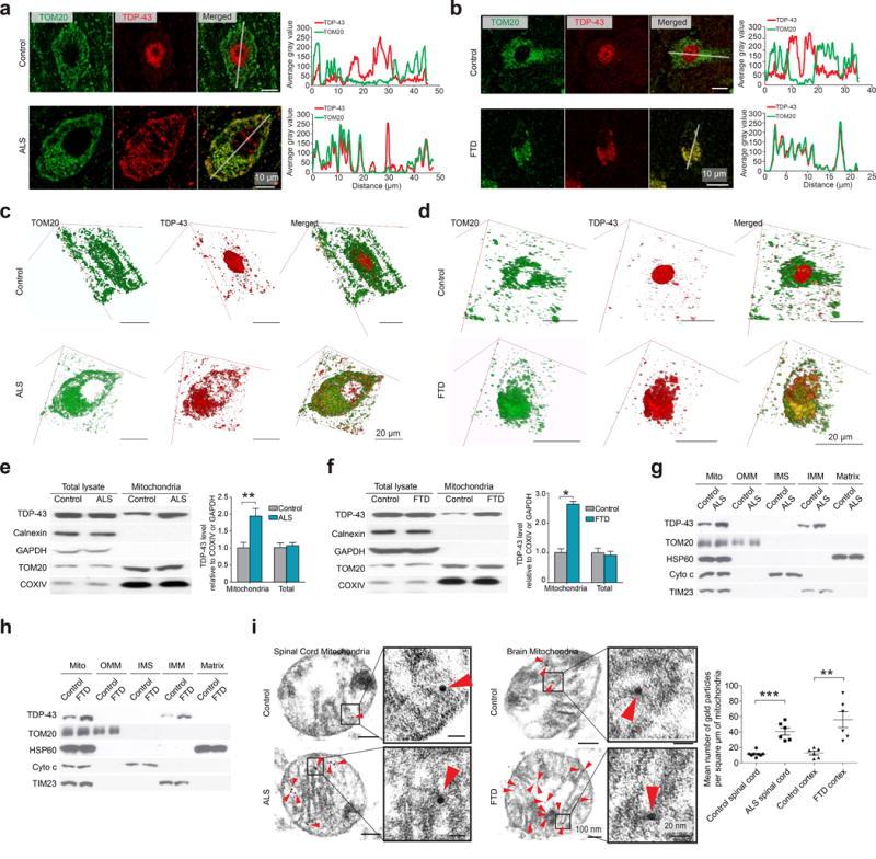 https://cdn.ncbi.nlm.nih.gov/pmc/blobs/9641/4974139/8b57172c337b/nihms789731f1.jpg