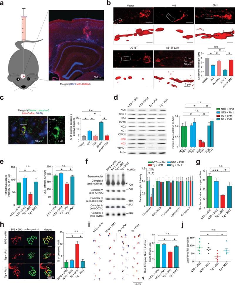 https://cdn.ncbi.nlm.nih.gov/pmc/blobs/9641/4974139/949b0d472696/nihms789731f6.jpg