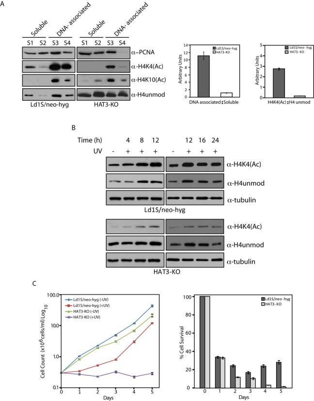 https://cdn.ncbi.nlm.nih.gov/pmc/blobs/9642/4477661/7563c4f96fc5/gkv431fig8.jpg