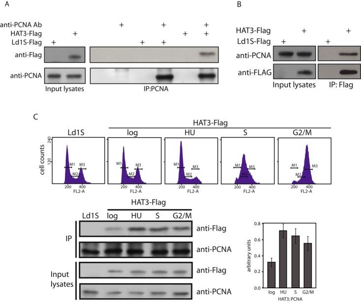 https://cdn.ncbi.nlm.nih.gov/pmc/blobs/9642/4477661/968b2fee1a5a/gkv431fig7.jpg